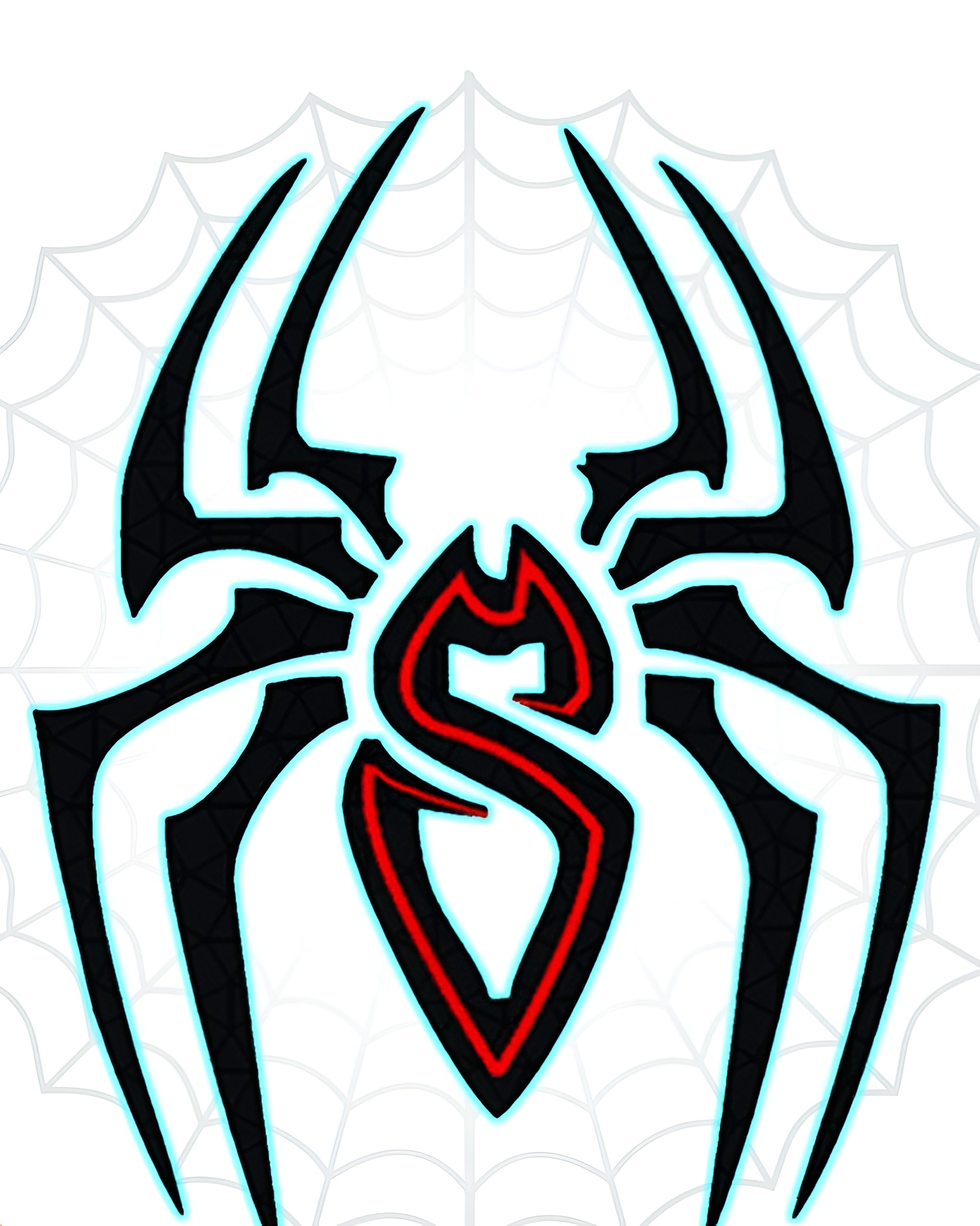 Spider Security Service
